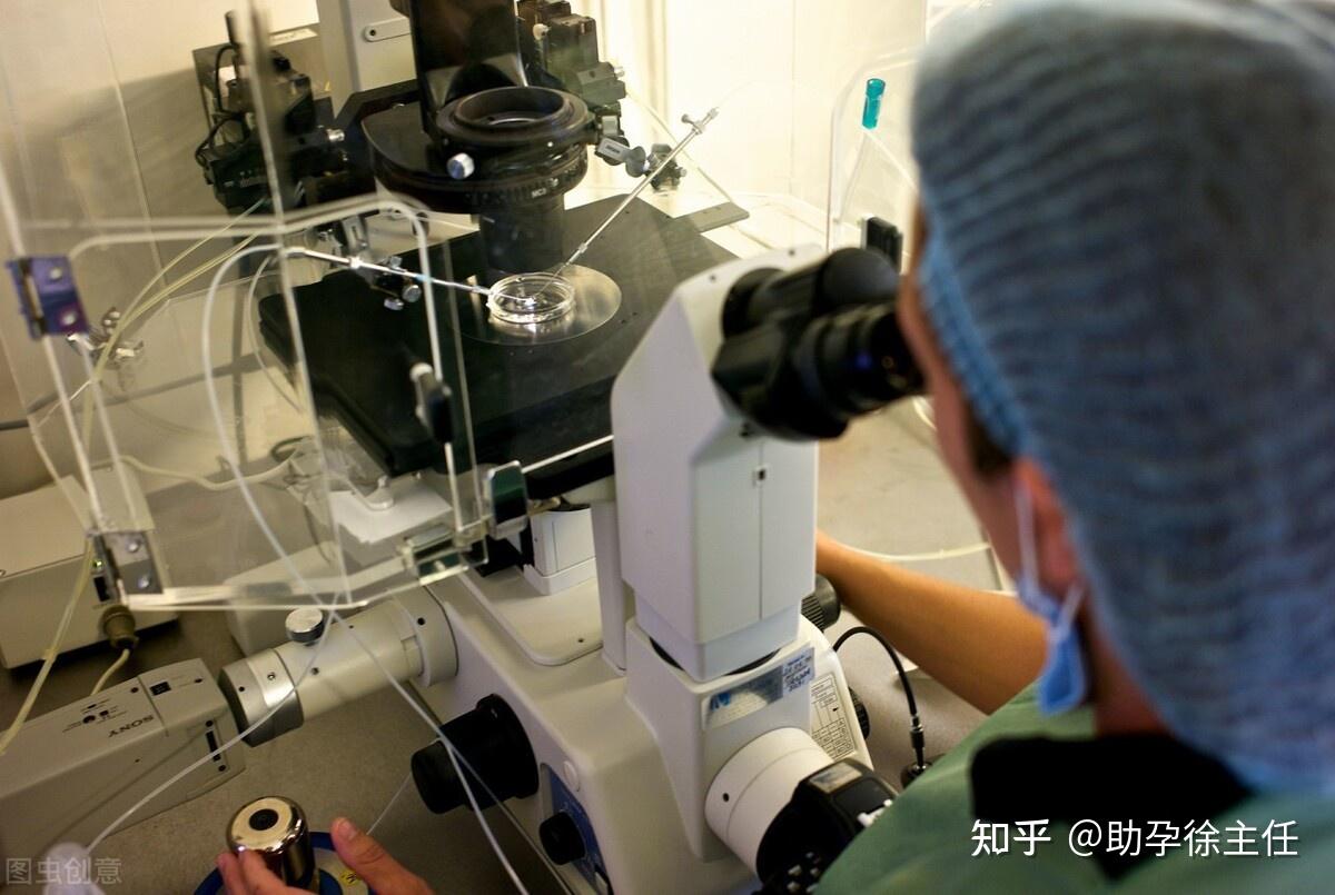 多囊是不是要尽早结婚 多囊卵巢婚检能过关吗